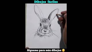Aprende a dibujar un conejito muy facil.