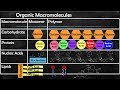 Biological Macromolecules and Processes