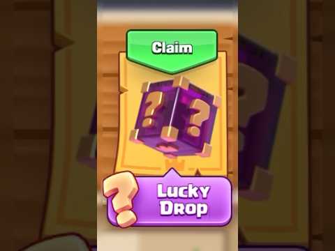 wtf is this?