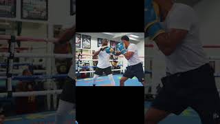 What’s next for Shakur Stevenson #boxing #shakurstevenson #boxing #next #fighting