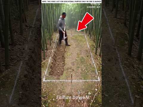 Building Wooden Log Cabin in ForestQI🌲🎈Survival House Step by Step "9#shorts #facts