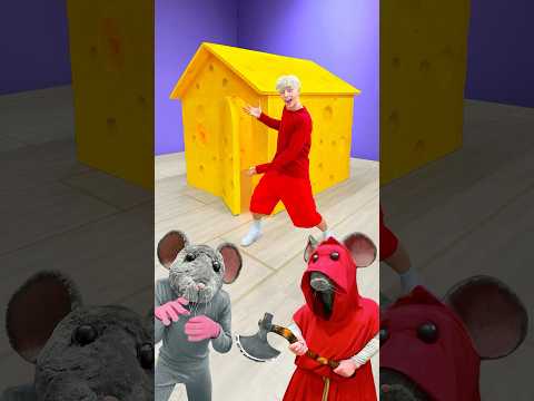 CHEESE HOUSE vs MICE! 🏠🧀🐭