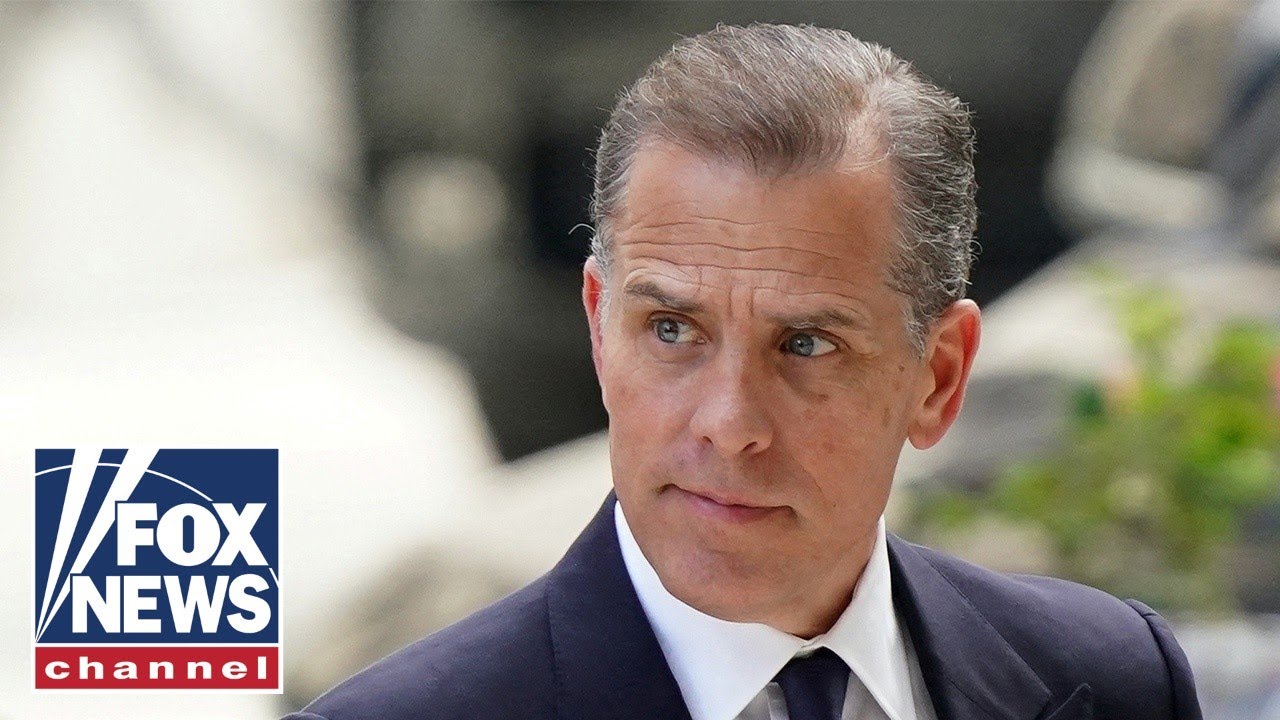 Biden scolded by former top adviser for Hunter pardon: ‘I do NOT agree’