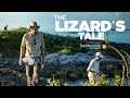 Anole Species Interactions and Adaptations
