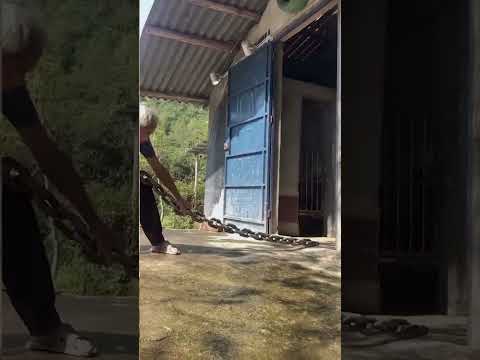 Выпускайте кракена)))