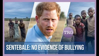Prince Harry Torches Sentebale Chairwoman After Probe Finds No Evidence Of Bullying.