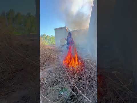 Murgi  AG Mein Ge gay #shortvideo #shorts#youtubeshort #minivlogs