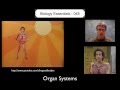 Human Body Systems and Functions