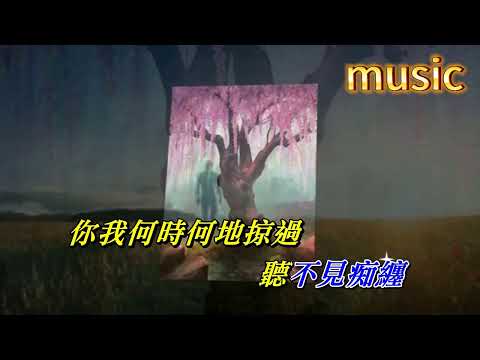 天生不是情人 陳百強KTV 伴奏 no vocal 無人聲 music 純音樂 karaoke 卡拉OK 伴唱 instrumental天生不是情人 陳百強