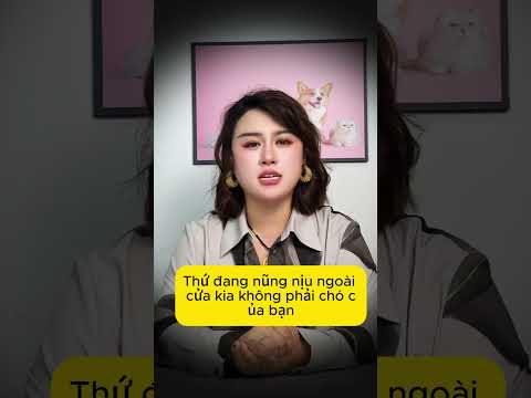 Câu chuyện quái dị về người nuôi chó! #shorts