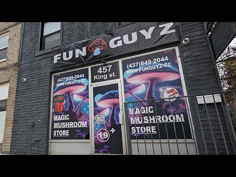 FunGuyz is closing all 30 of its magic mushroom stores in Ontario