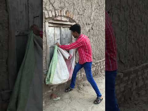 Parrots Mini Zoo se ud kar kamare mein chale gaye