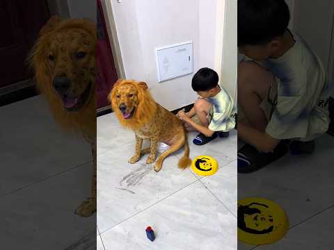 He Called His Dog a Lion… So He Made Him One! 🤣 #shorts