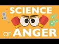 Understanding Anger and Its Effects