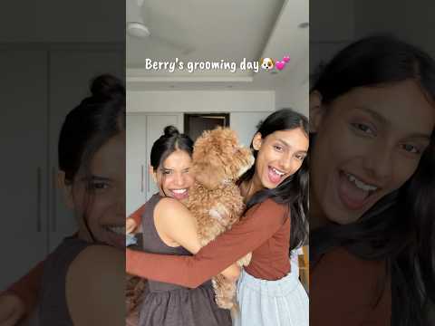 Pehli baar berry humare home town jaa raha hai🐶💕 #shorts #minivlog #shortsviral #adayinmylife