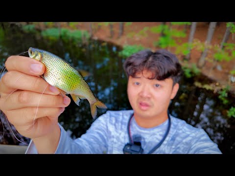 Smallest Fish Wins Tournament!