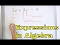 Understanding Expressions and Equations