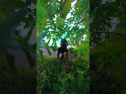 😳Insta360 camera Funny video #insta360 #funny #video #vlog