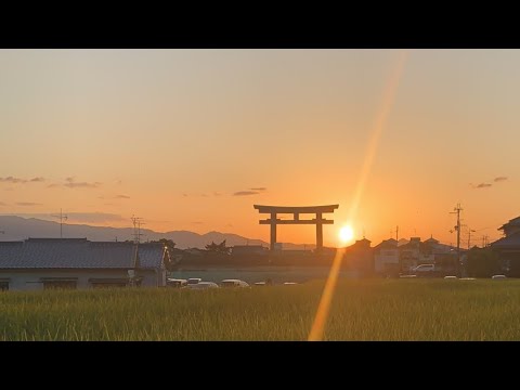 大神神社⛩夕陽