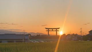 大神神社⛩夕陽