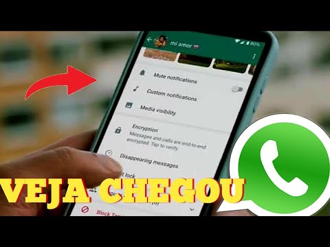 FINALMENTE CHEGOU! Nova Atualização do WhatsApp 2024