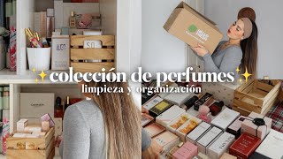 MI COLECCION de PERFUMES 🧴 Limpieza y organización | Museecoco