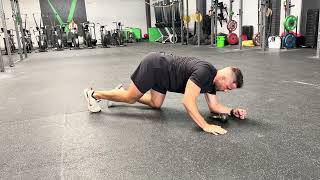 Plank Position Kettlebell Push Pulls