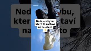 Nedělej chybu, která tě zastaví na celé léto 🌱❌