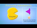 Understanding Enzyme Inhibition