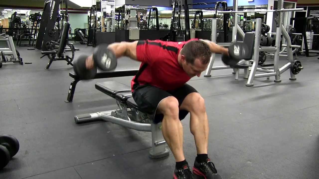 Image Seated Rear Lateral Raise with Dumbbell