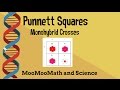 Understanding Punnett Squares