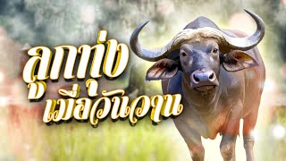 ลูกทุ่งเมื่อวันวาน