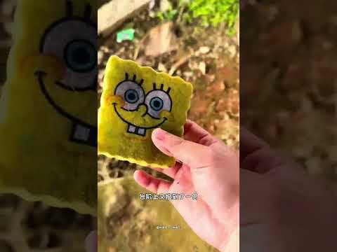 I found a lot of SpongeBob SquarePants by the sea!