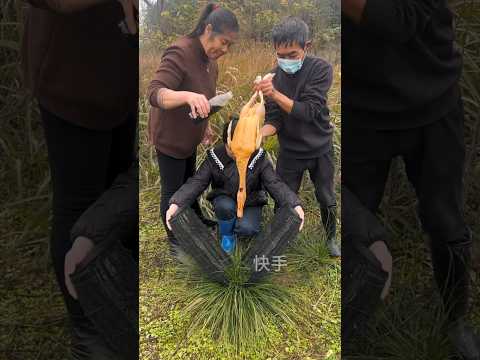 حيلة الجدة الشعبية… والأسماك دخلت على طول! 🚀🐟 #shorts #viral