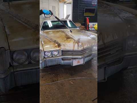 First Wash in 40 YEARS! ๐๐ #BarnFind #CadillacEldorado #AbandonedCars #Detailing #DetailDane