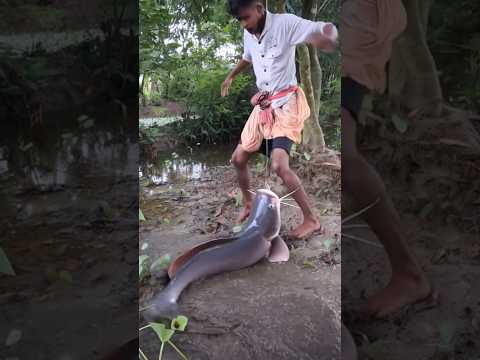 এভাবেও মাছ ধরা সম্ভব। 😂#comedy #abutalhad