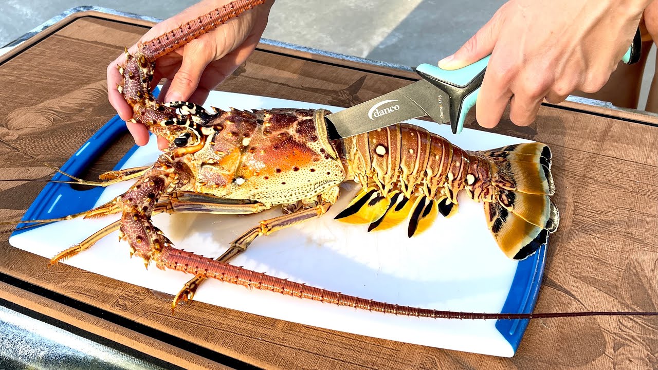 Fried Coconut Crusted -LOBSTER- Bites with a Pi-a Colada Sauce (Catch Clean & Cook) - Bluegabe