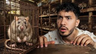 Visité el pueblo que cría RATAS GIGANTES para COMER 🐀🇻🇳