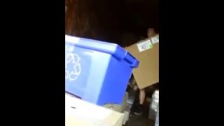Freestyle Friday