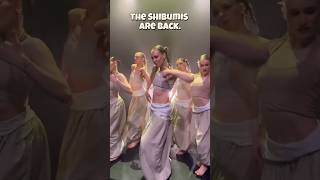 The Shibumis Are Back