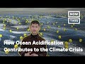 Ocean Acidification and Its Effects