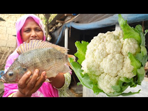 নতুন ফুলকপি বেগুন দিয়ে তেলাপিয়া মাছের ঝোল রান্না Cauliflower Begun Tilapia Fish Curry In Our Village