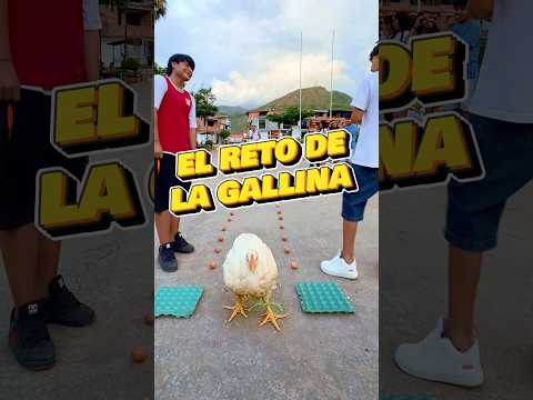 El reto de la Gallina 🐓 🏆