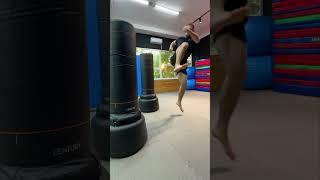 Taekwondo Kicks / Training #taekwondo #kicks #tricks