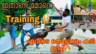 ആരായാലും കടിച്ച കീറും Malinos....😱 |Grand son of Apollo🩸 |Trained by focus k9🫡🔥