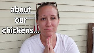 A Sad Story (and a warning for backyard chicken owners) // Mommy Etc