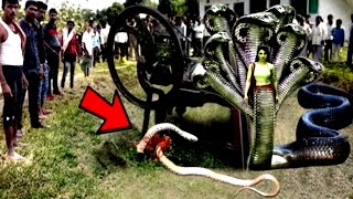 फिरोजाबाद के इस गाँव मे चारा काटने वाली मशीन मे फस कर मरा नाग तो उसकी नागिन जो क्या #naagnagin