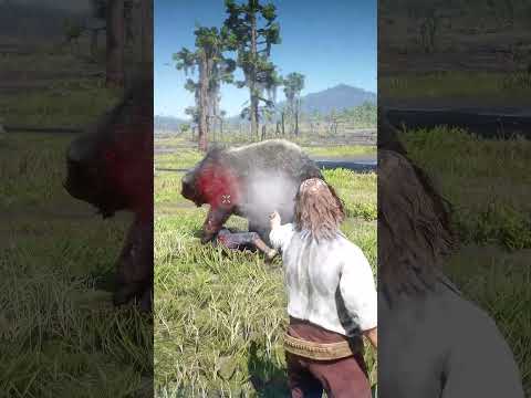 Great Survival Skills vid564