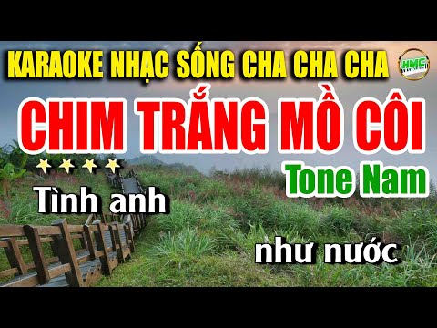 Chim Trắng Mồ Côi Karaoke Nhạc Sống Minh Công – Nhạc Sống Cha Cha Cha Cực Dễ Hát