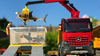 RC Shark Transport Mission! Tiny Pool to Big Pond with Bruder RC Toys